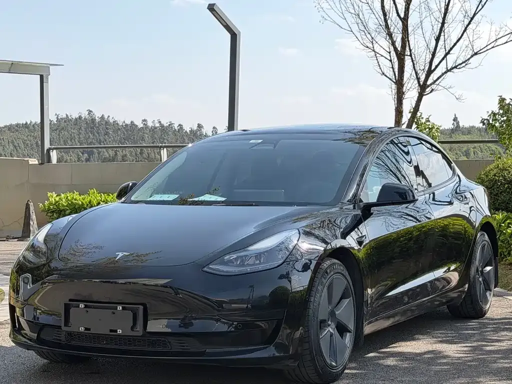 Tesla Model 3 — фото 2