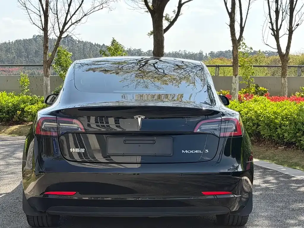 Tesla Model 3 — фото 8