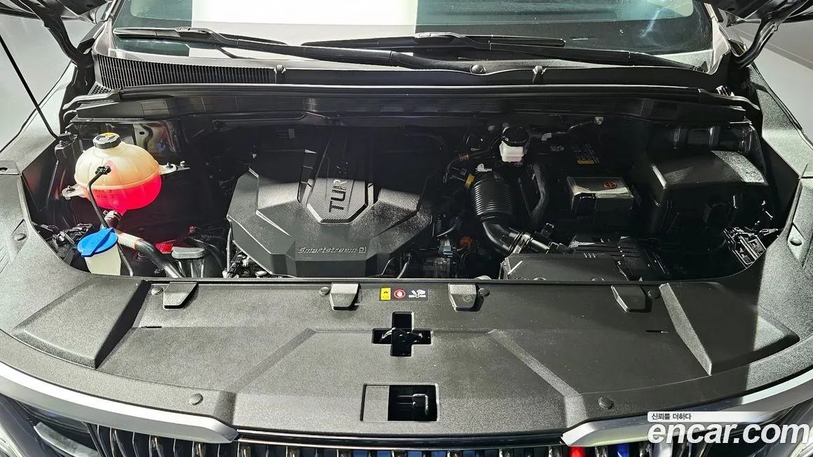 Kia Carnival — фото 10