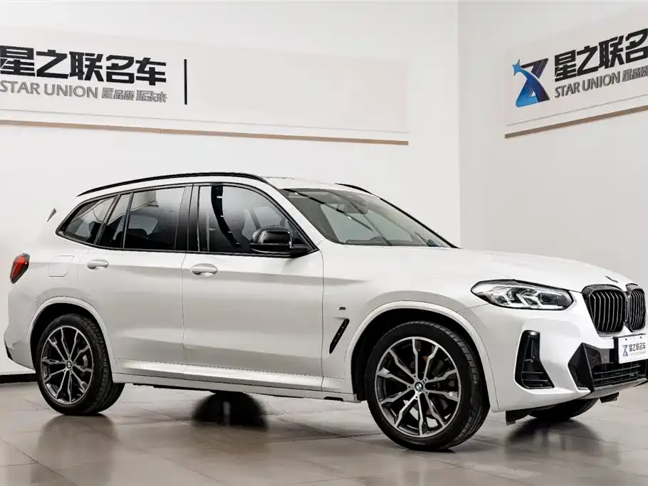 BMW X3 2021 из CN, фото 9