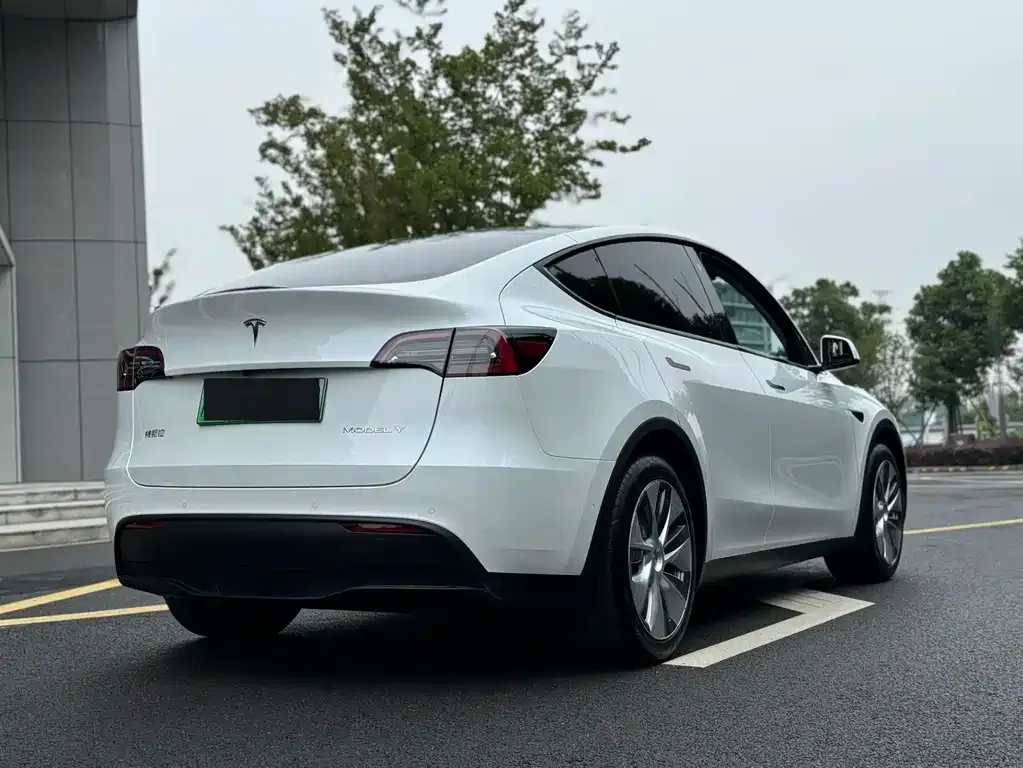 Tesla Model Y — фото 9