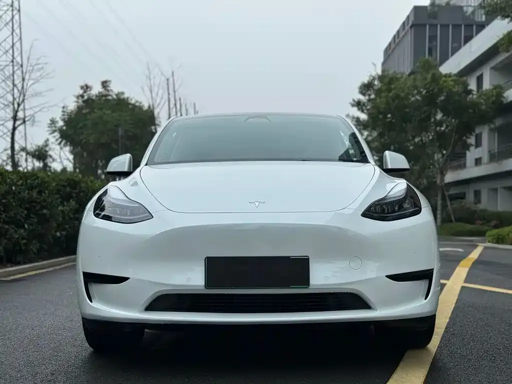 Tesla Model Y — фото 6
