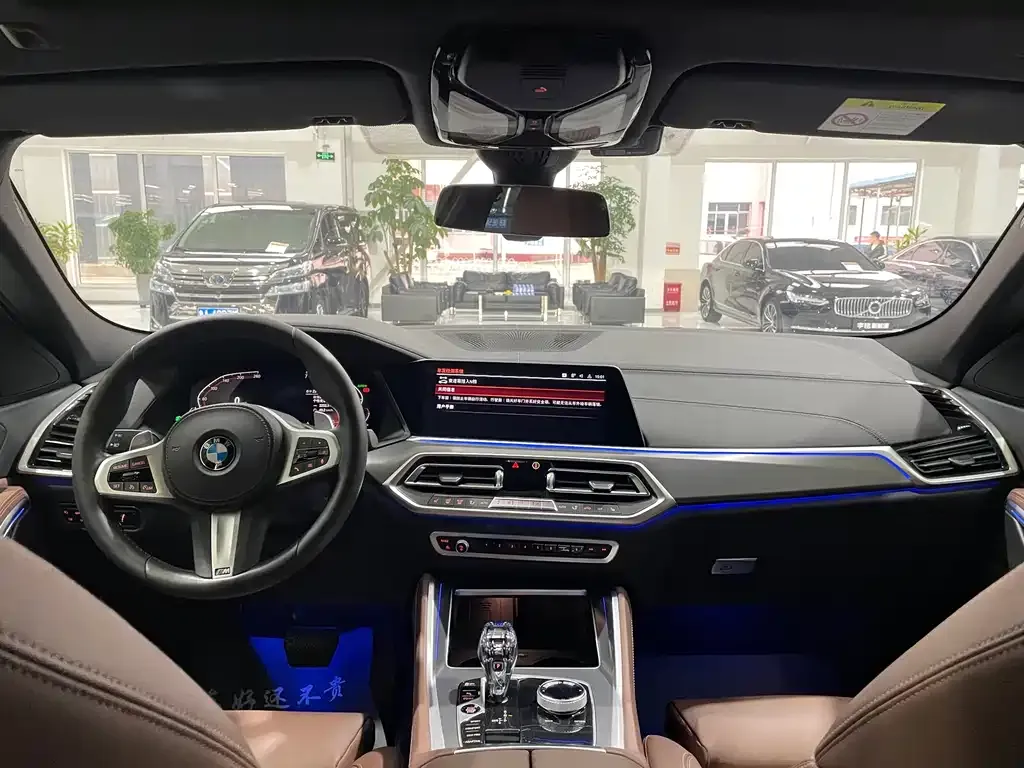 BMW X6 2021 из CN, фото 4