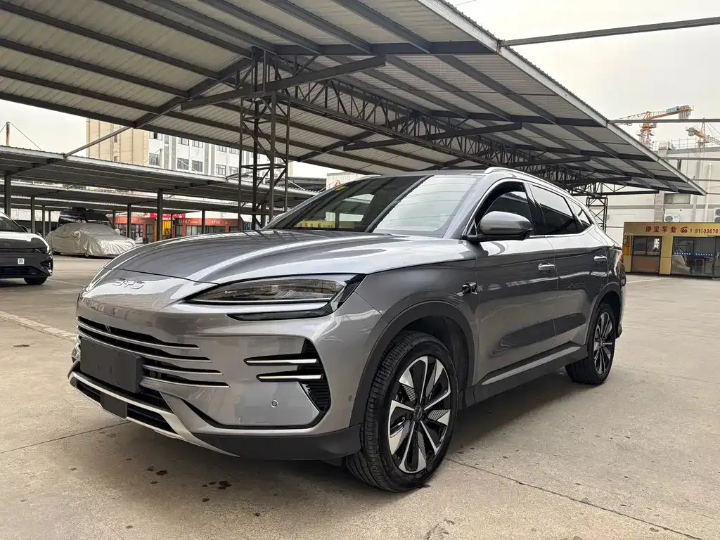 BYD PLUS New Energy — фото 1