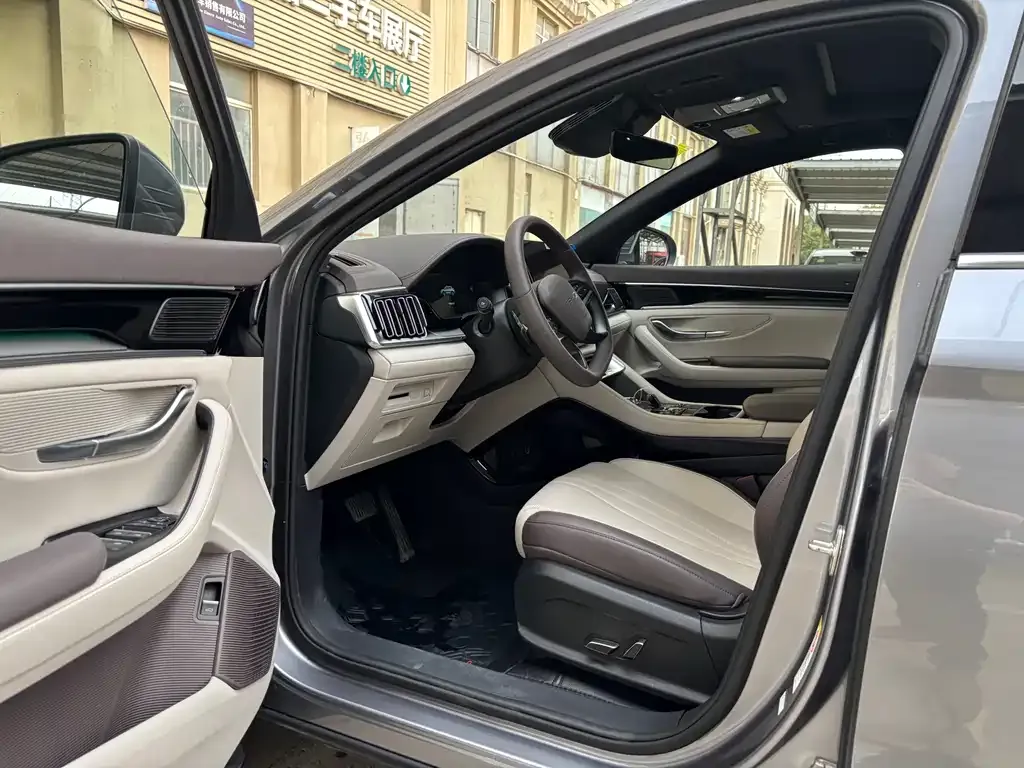 BYD PLUS New Energy — фото 10