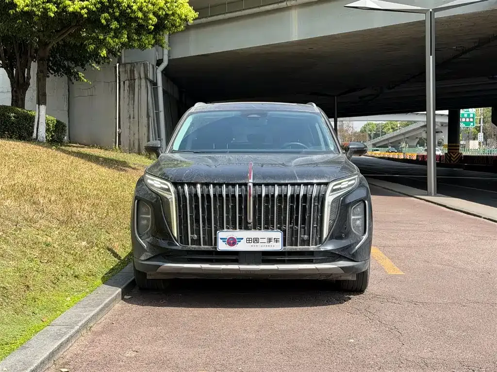 Hongqi HS7 PHEV — фото 6