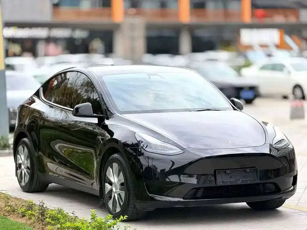 Tesla Model Y — фото 8