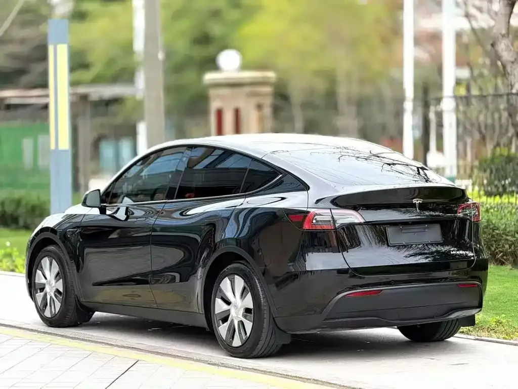 Tesla Model Y — фото 3