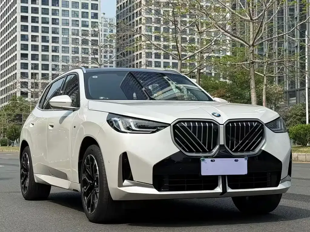BMW X3 2025 из CN, фото 8