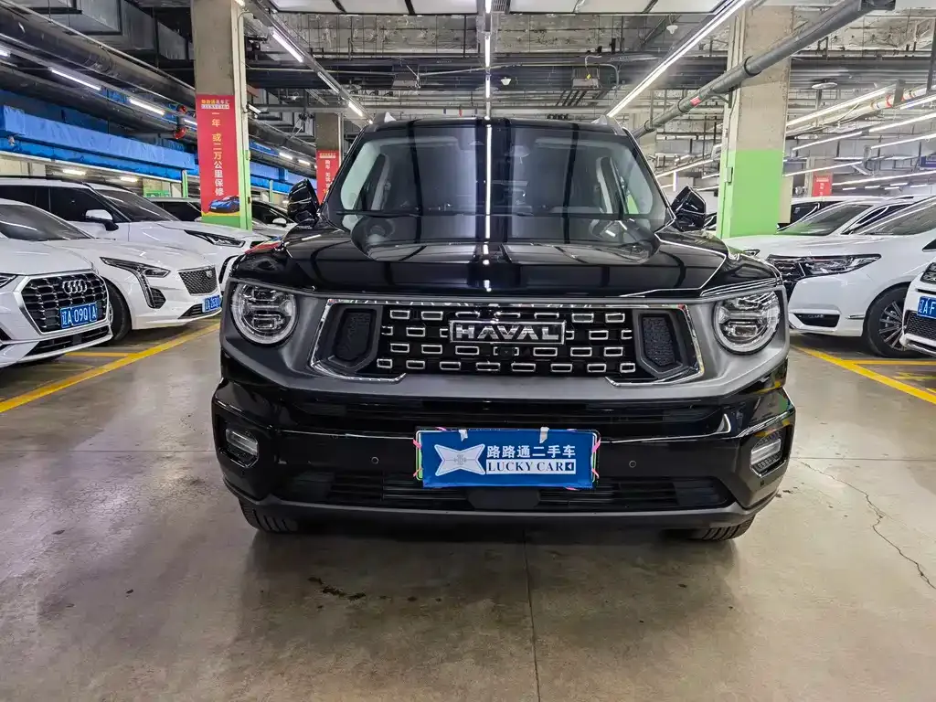 Haval H7 (Big Dog Plus) New Energy 2023 из CN, фото 6