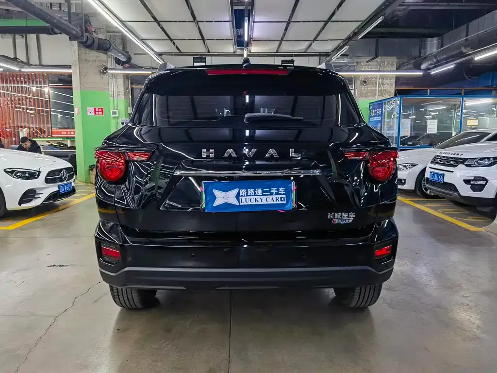 Haval H7 (Big Dog Plus) New Energy 2023 из CN, фото 3