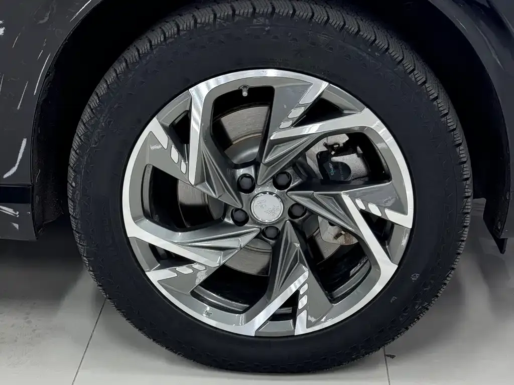 Hongqi HS3 PHEV 2025 из CN, фото 10