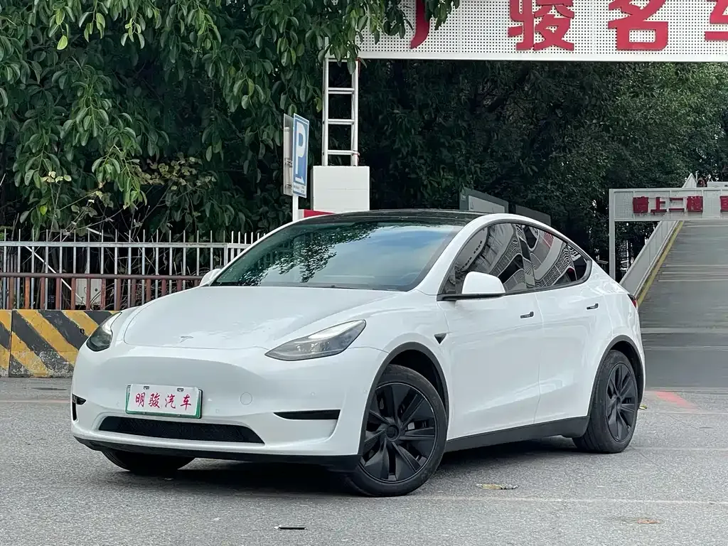 Tesla Model Y 2023 из CN, фото 1
