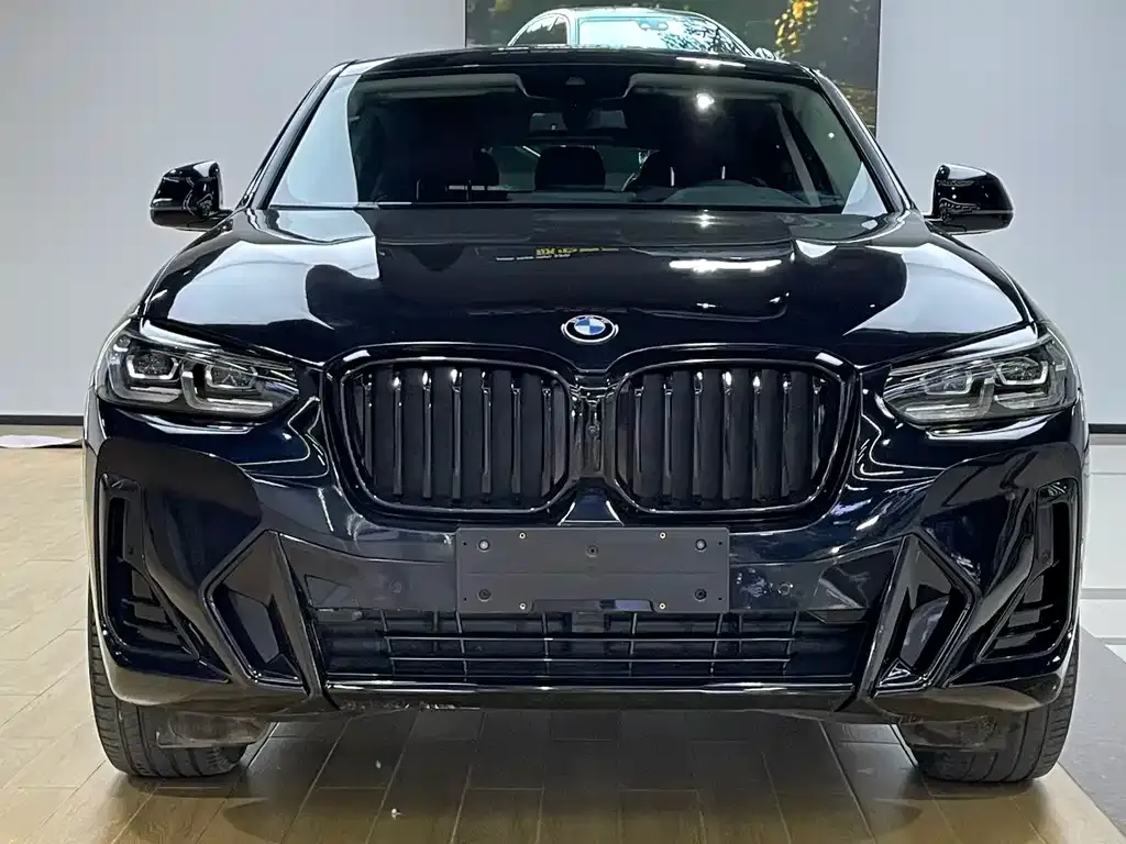 BMW X4 2023 из CN, фото 2