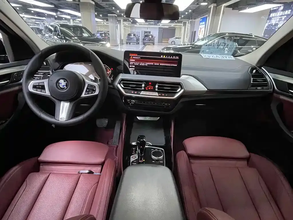 BMW X4 2023 из CN, фото 9
