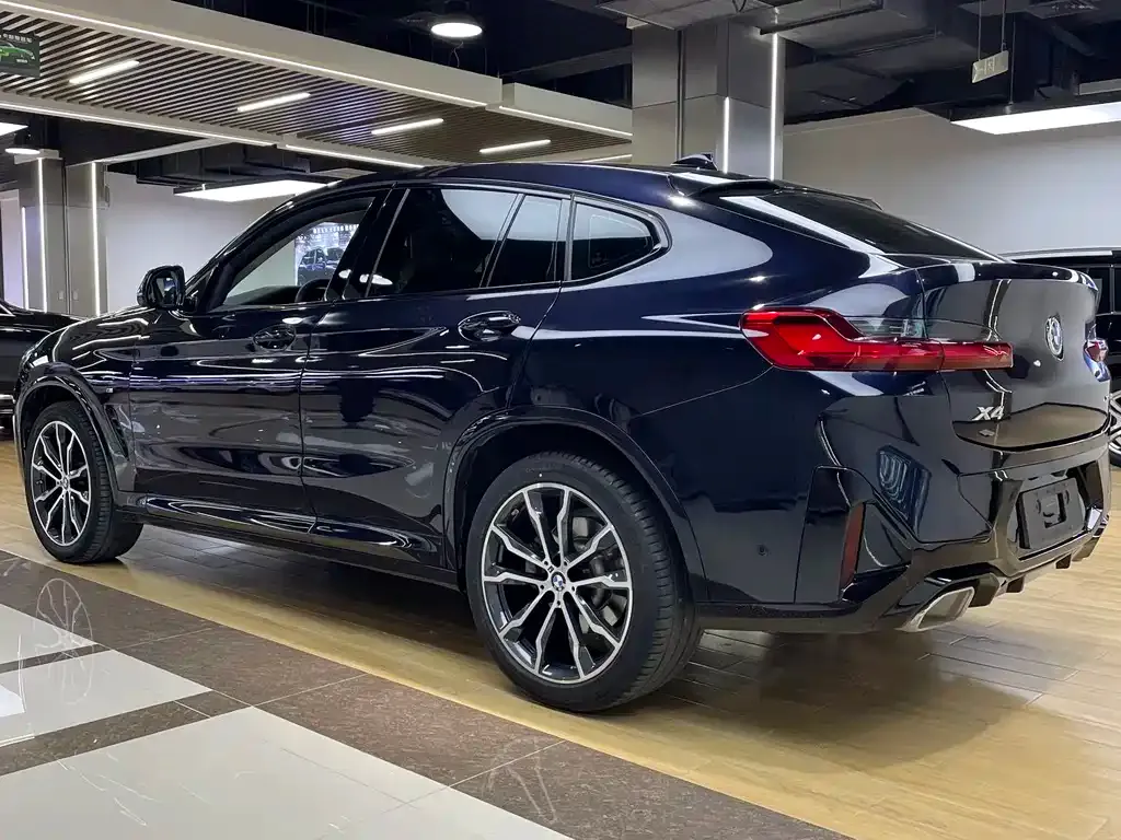 BMW X4 2023 из CN, фото 4