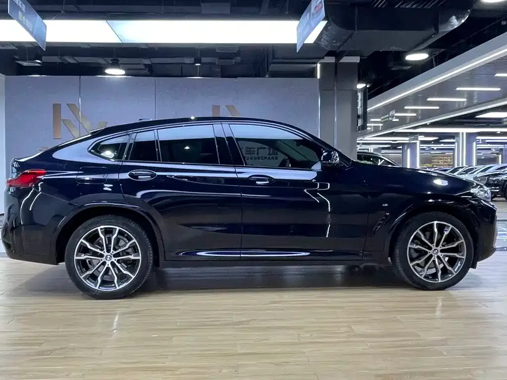 BMW X4 2023 из CN, фото 6