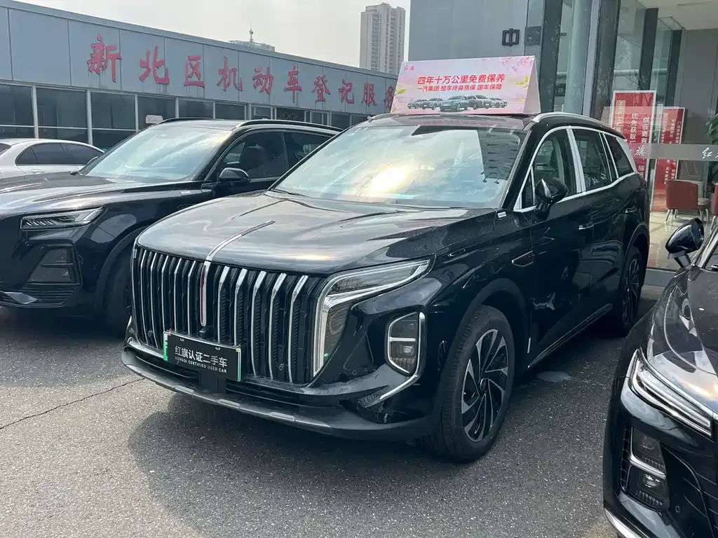Hongqi HS7 PHEV 2025 из CN, фото 5