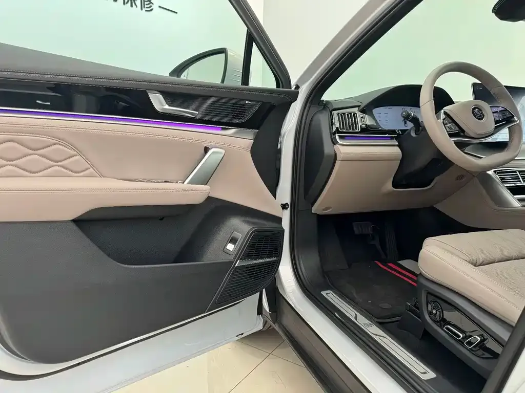 BYD Tang New Energy 2025 из CN, фото 7
