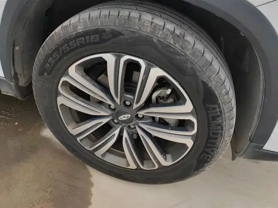 Chery Tiggo 8 2021 из CN, фото 3