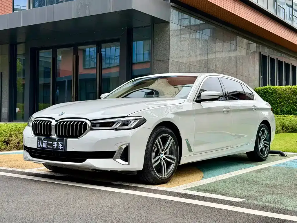 BMW 5 Series 2021 из CN, фото 1