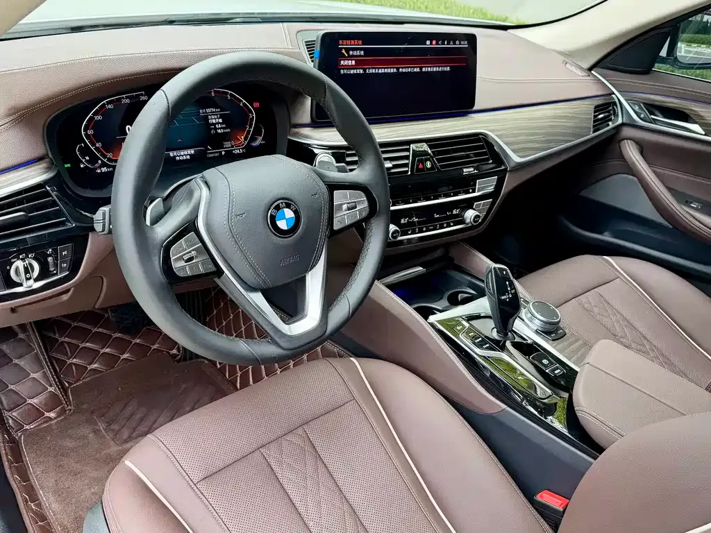 BMW 5 Series 2021 из CN, фото 6