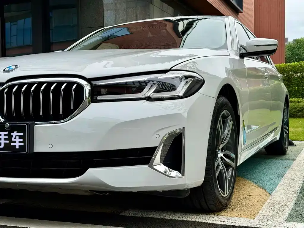 BMW 5 Series 2021 из CN, фото 5