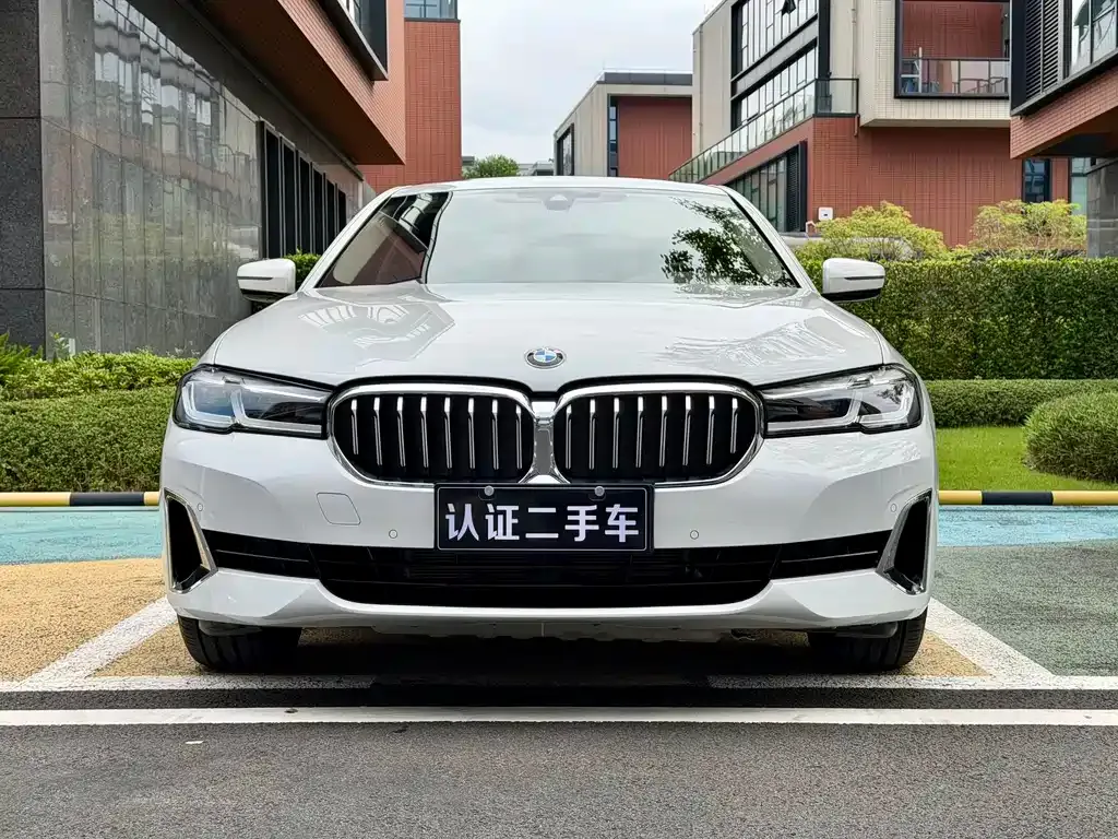 BMW 5 Series 2021 из CN, фото 10