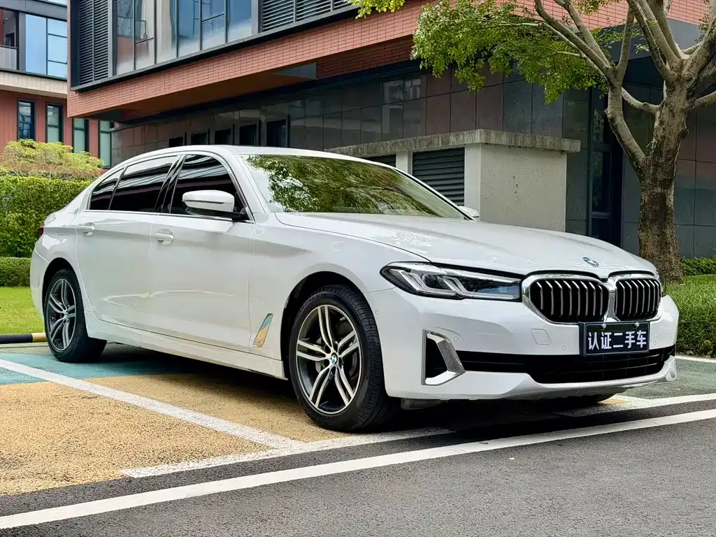 BMW 5 Series 2021 из CN, фото 7