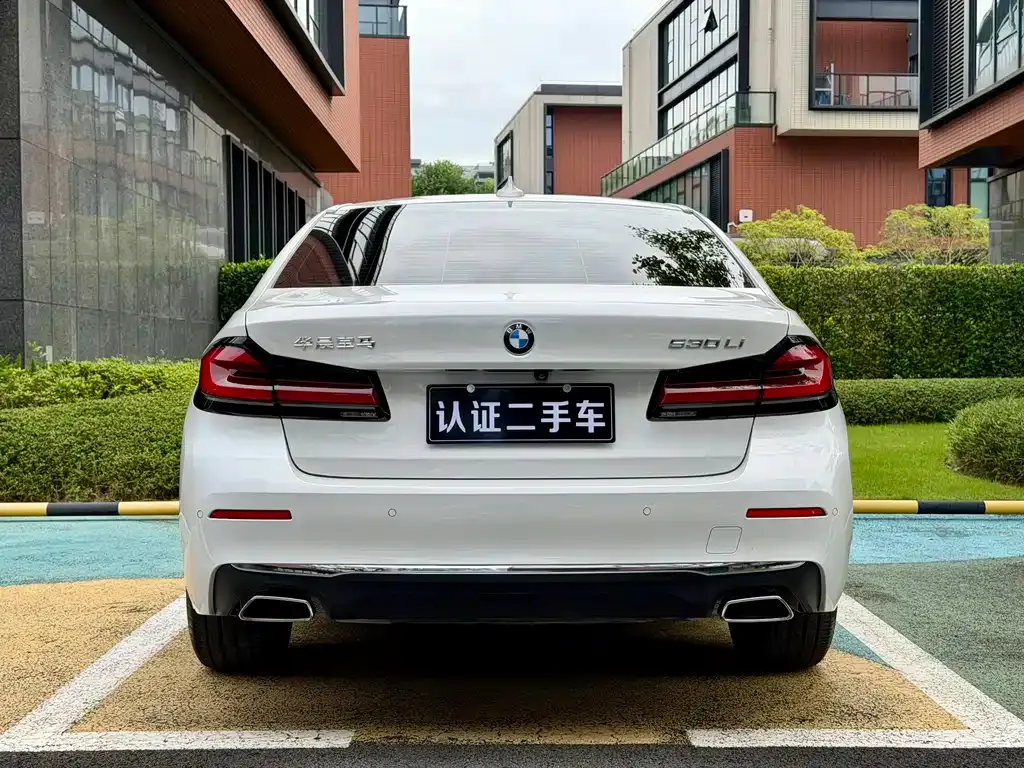 BMW 5 Series 2021 из CN, фото 8