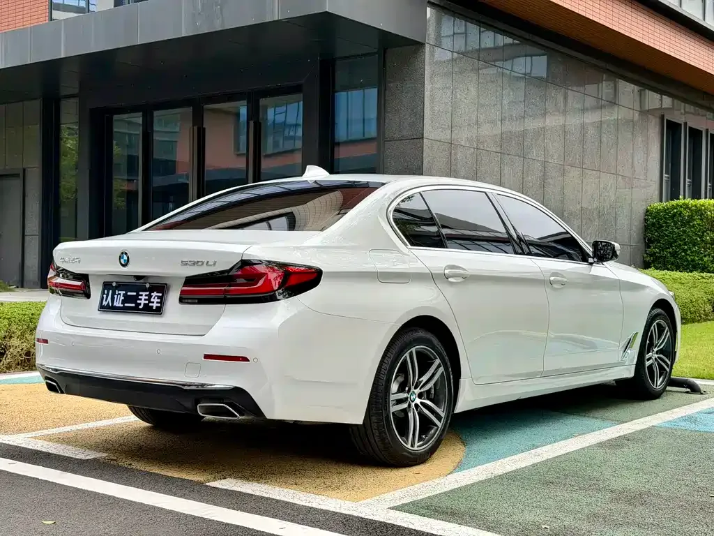 BMW 5 Series 2021 из CN, фото 4