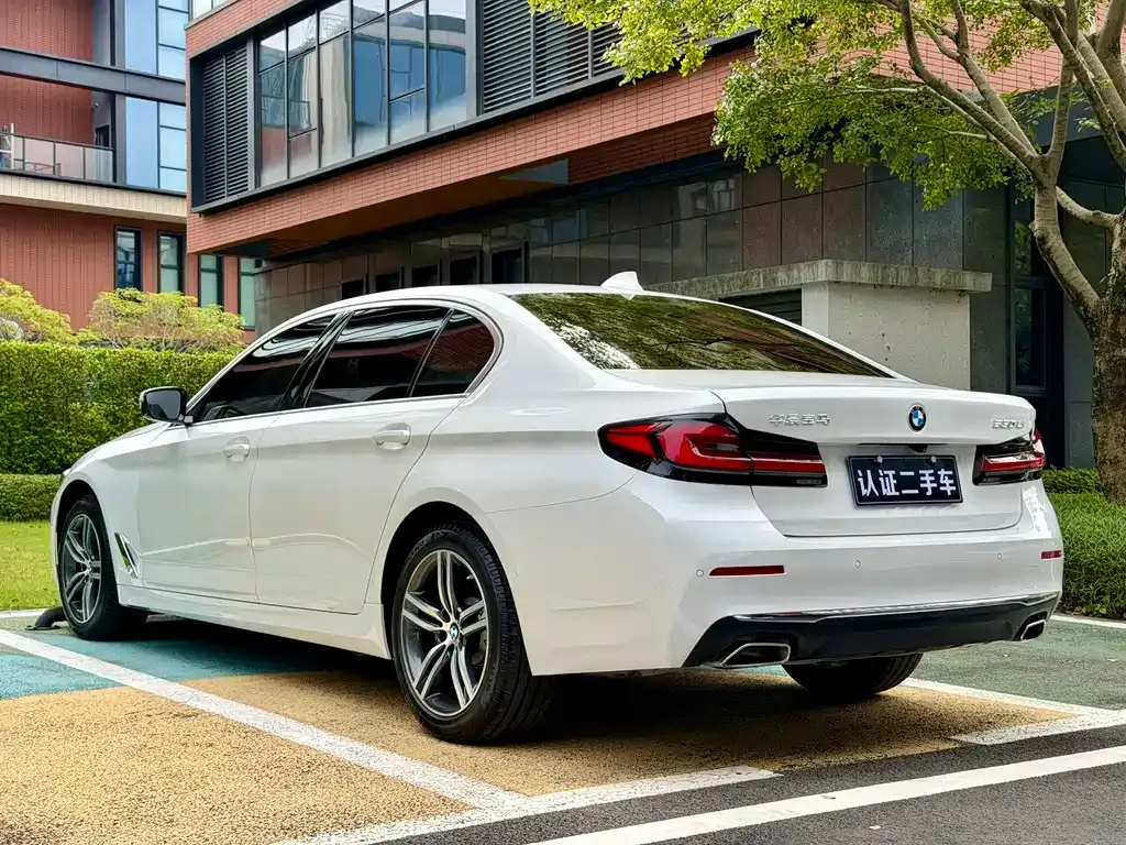 BMW 5 Series 2021 из CN, фото 9