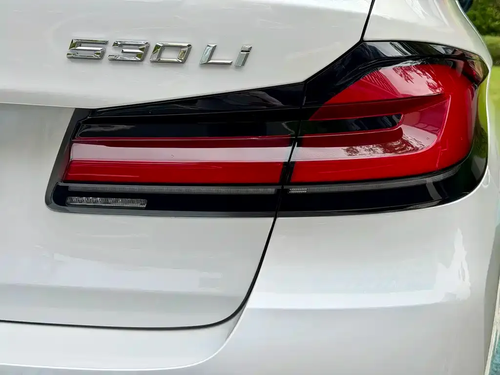 BMW 5 Series 2021 из CN, фото 2