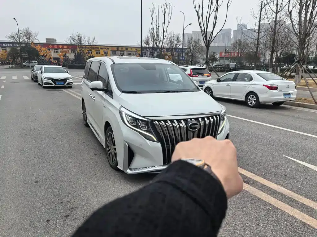 GAC Motor Trumpchi M8 2022 из CN, фото 6