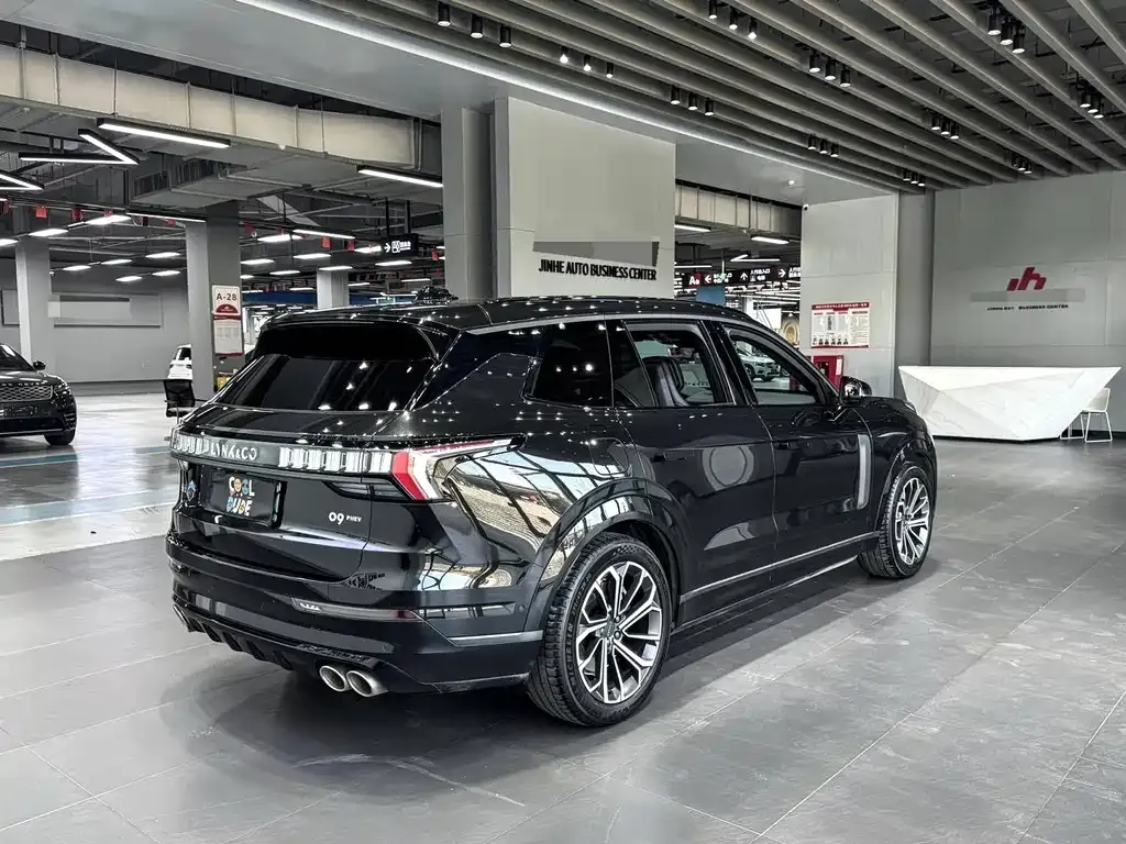 Lynk & Co 09 EM-P 2022 из CN, фото 6