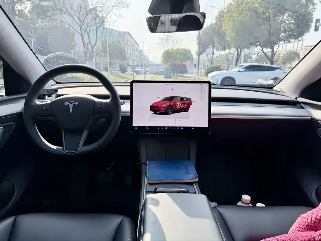 Tesla Model Y — фото 2