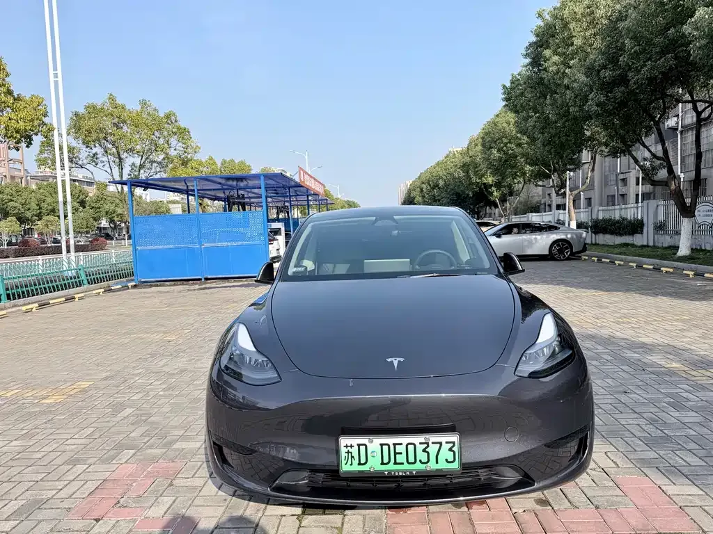 Tesla Model Y — фото 6