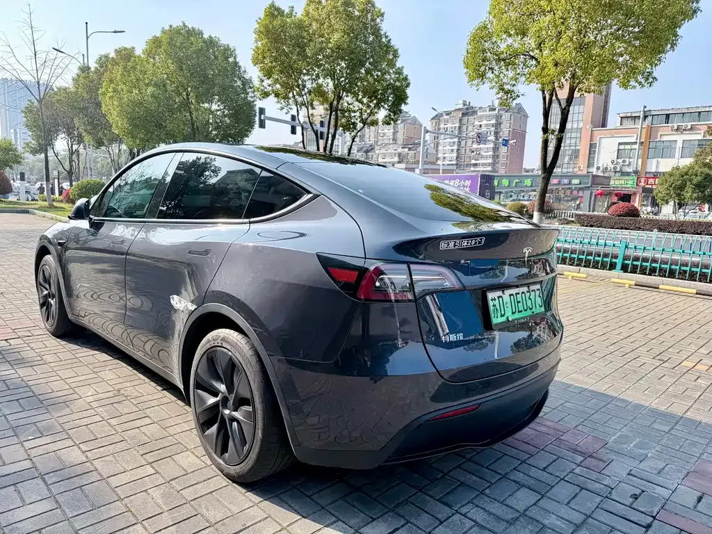 Tesla Model Y — фото 8
