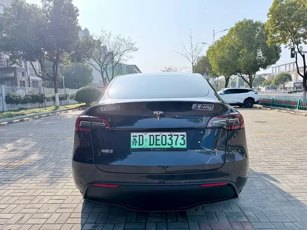 Tesla Model Y — фото 9