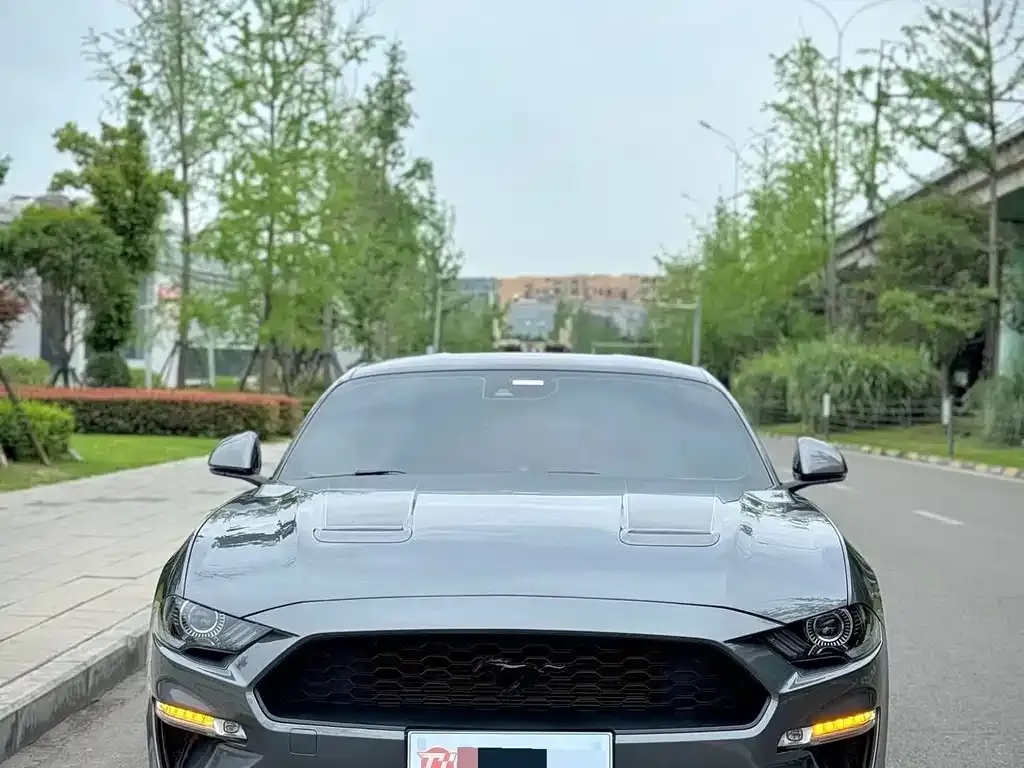 Ford Mustang — фото 2
