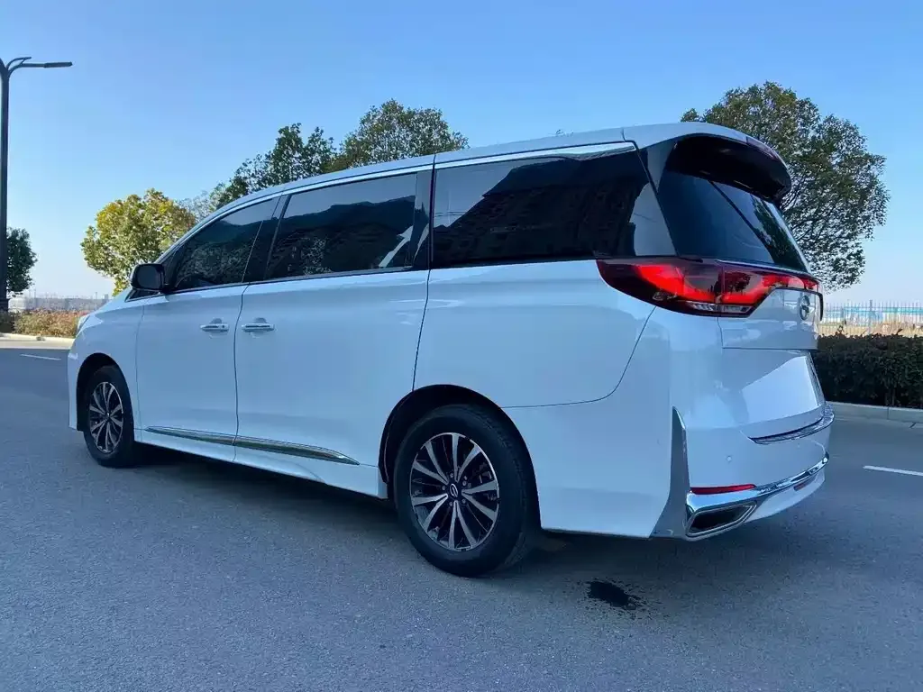 GAC Motor Trumpchi M8 2023 из CN, фото 4