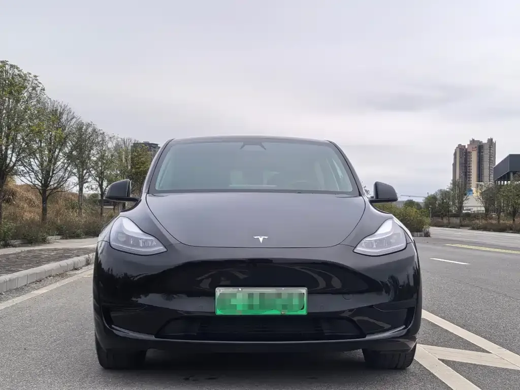 Tesla Model Y — фото 4