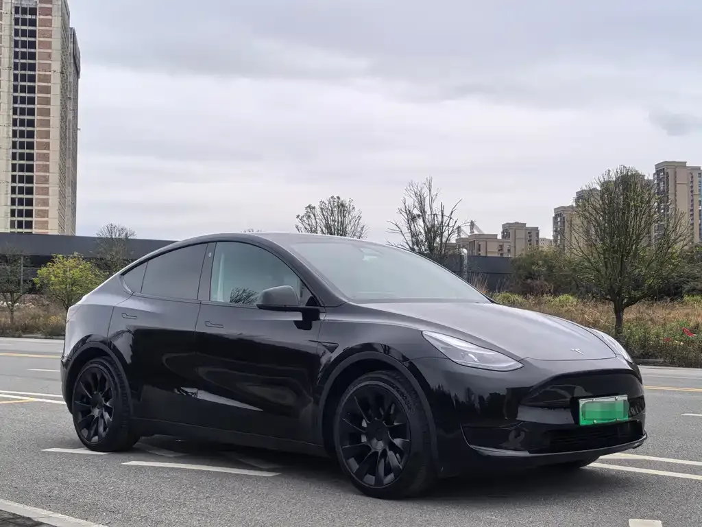 Tesla Model Y — фото 6