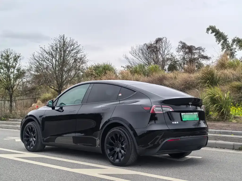 Tesla Model Y — фото 5