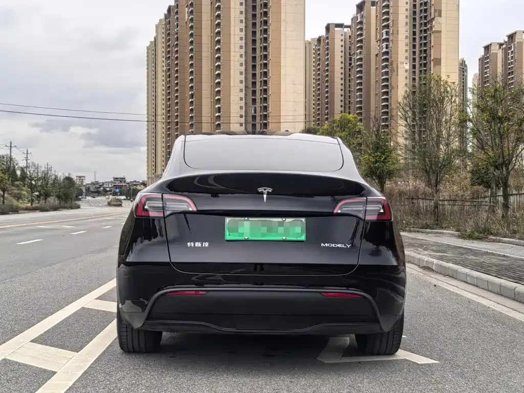 Tesla Model Y — фото 8