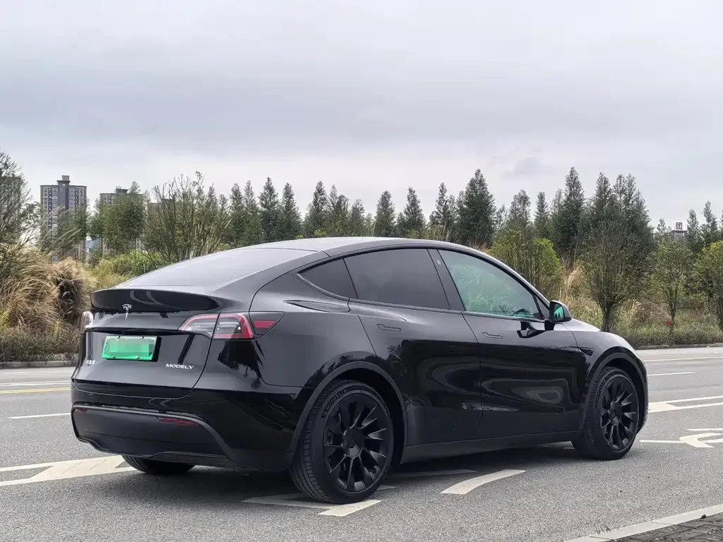 Tesla Model Y — фото 7