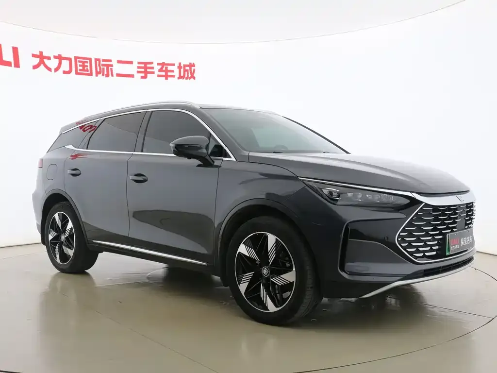 BYD Tang New Energy — фото 3