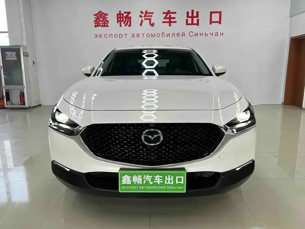 Mazda CX-30 2021 из CN, фото 2