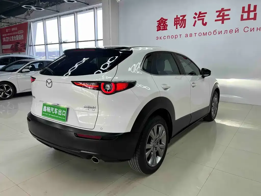 Mazda CX-30 2021 из CN, фото 3