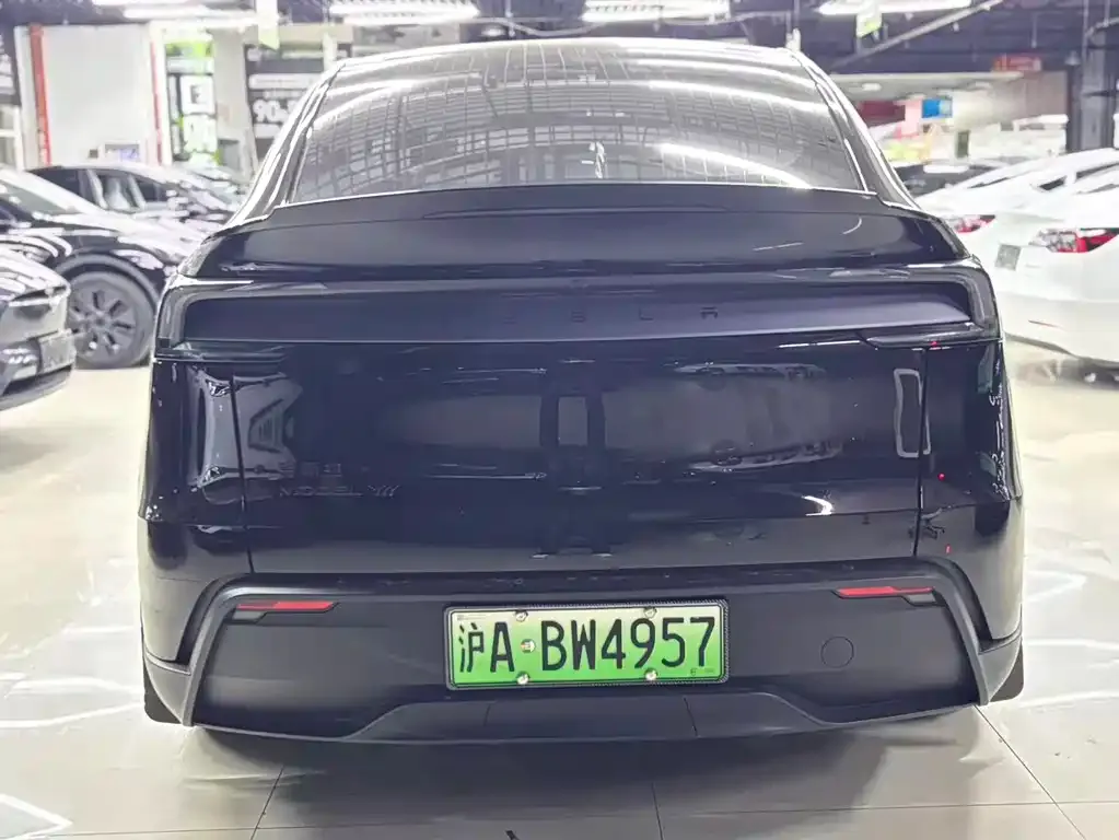 Tesla Model Y L 2025 из CN, фото 4